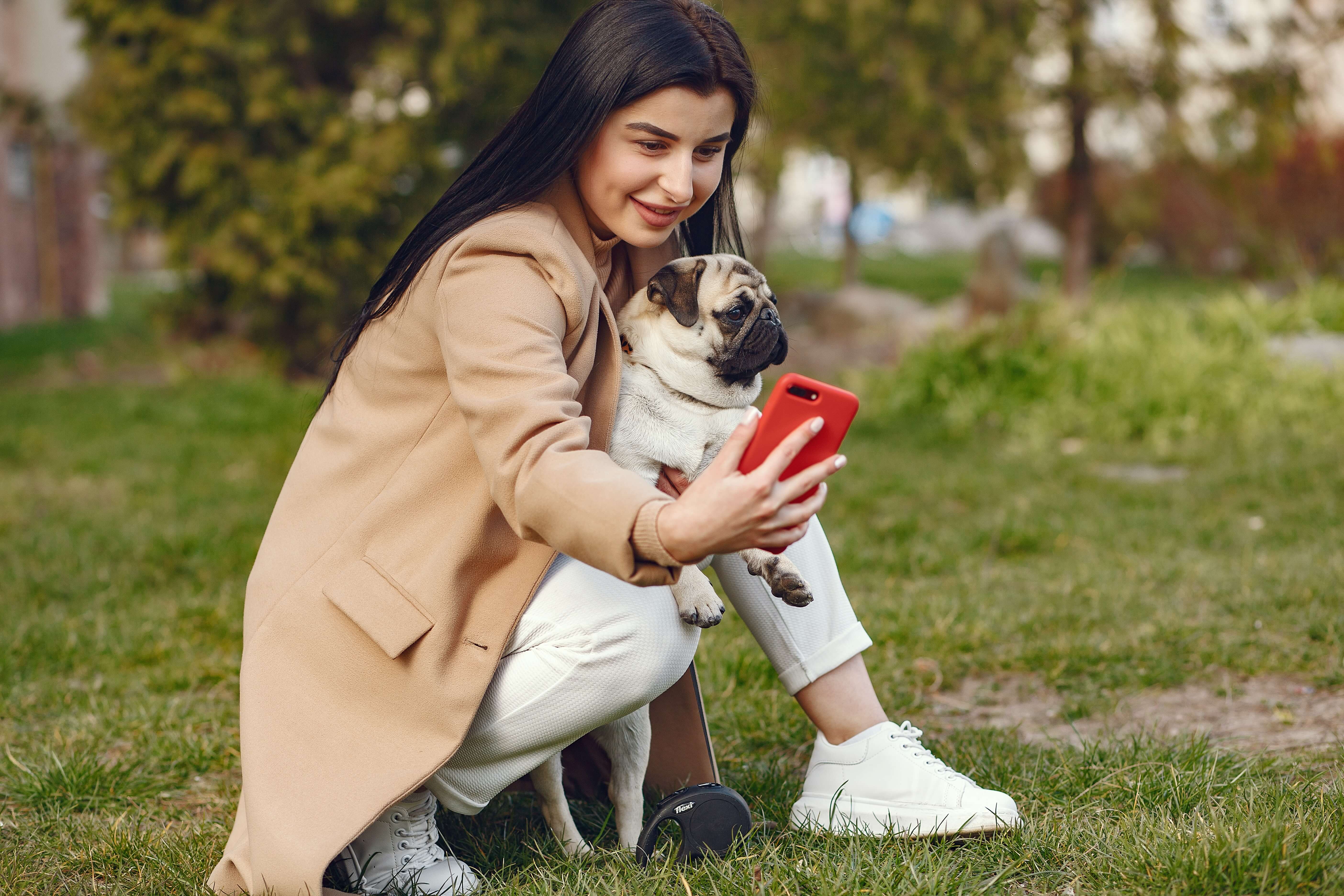 A pet enjoying a holiday adventure outdoors